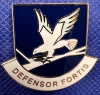 Lapel Pin - Defensor Fortis Flash