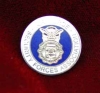 Lapel Pin - AFSFA Logo